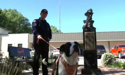 Wake Forest firefighter rescues, adopts dog found wandering after Helene