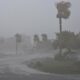 Hurricane Milton recovery continues, what will its impact mean for insurance claims? | Facing SFL