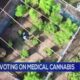 RWB Why are some Kentucky communities voting on medical marijuana?