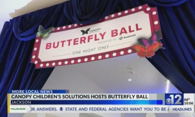 Canopy Children's Solutions hosts Butterfly Ball