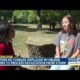 Western NC families displaced by Helene gather to process devastation from storm