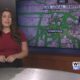 Dog Walk Forecast for Oct. 14 – Nyla Jane