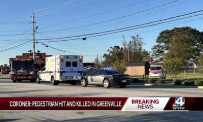 Pedestrian hit, killed in Greenville