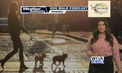 Dog Walk Forecast for Oct. 16 - Vera Wang