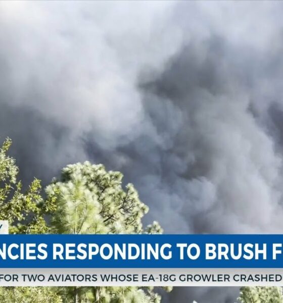 WXXV News 25’s Marco Bitonel live at scene of large brush fire in Harrison County