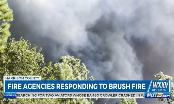 WXXV News 25’s Marco Bitonel live at scene of large brush fire in Harrison County