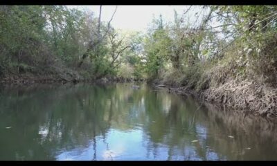 Knox County in process of removing Coward Mill Dam, stabilizing Beaver Creek bank