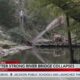 3 die after Strong River bridge collapses in Mississippi