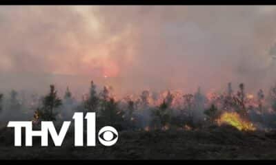 Wildfire risk in Arkansas continues to rise