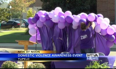 SAFE gearing up for domestic violence awareness event