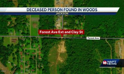 A body has been found in the woods in Jackson