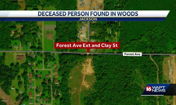 A body has been found in the woods in Jackson