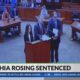 Former UK student Sophia Rosing sentenced to 1 year in prison