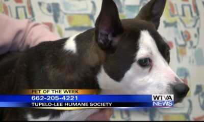 Pet of the Week: Matilda