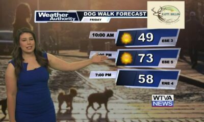 Dog Walk Forecast for Oct. 18 - Stark