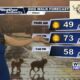 Dog Walk Forecast for Oct. 18 - Stark