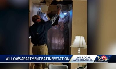 New Orleans East apartment complex under investigation amid health concerns