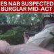 Suspect burglar caught in the act | FOX 5 News