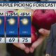 Saturday Morning Weather - 10/19/24