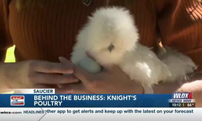 Behind the Business: Knight Poultry