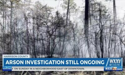 Brush Fire Arson Investigation