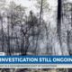 Brush Fire Arson Investigation