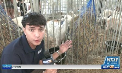 Jackson County Blue Ribbon Fair Preview