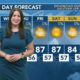 Today's Weather – Tori Alvarado – October 22nd, 2024