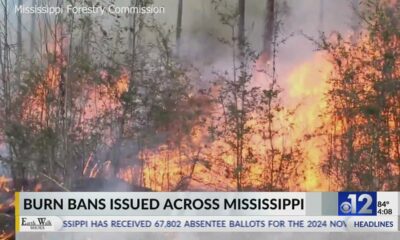 Burn bans issued across Mississippi as dry conditions persist