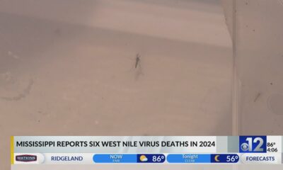 Mississippi reports six West Nile Virus deaths in 2024