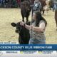 Jackson County Livestock 4H Club preparing for Blue Ribbon Fair