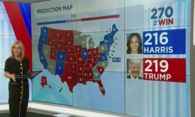 2024 election hangs in swing state battlegrounds: Polls