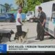 Woman hospitalized, dog dies in Northwest Miami-Dade mobile home fire