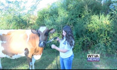 Outdoor Adventures with Chelsea: Day in the life of a dairy farmer