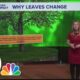 Weather Wednesday: Why Leaves Change