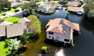 Floridians concerned about mold growth after hurricane flooding