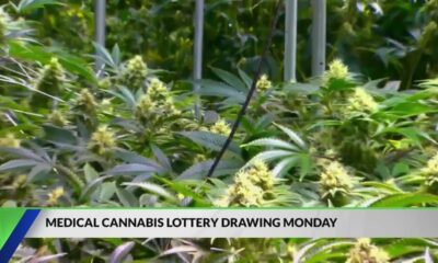 Medical Cannabis Lottery Drawing set to happen Monday