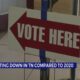 Tennessee early voting surpasses 2016 numbers, falls just shy of 2020 turnout after 9th day