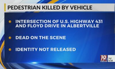 Pedestrian Hit And Killed By Vehicle | Oct. 26, 2024 | News 19 at 6:30 p.m.