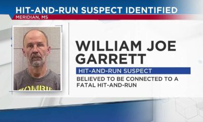 Suspect identified in Meridian fatal hit and run