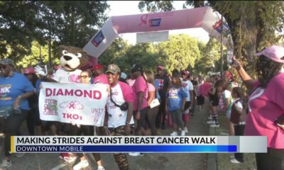 Thousands attend annual Making Strides Breast Cancer Walk 2024