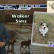 Dog Walk Forecast for Oct. 28 - Walker Sims