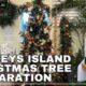 Pawleys Island nursery prepares for Christmas tree supply changes from Helene impacts