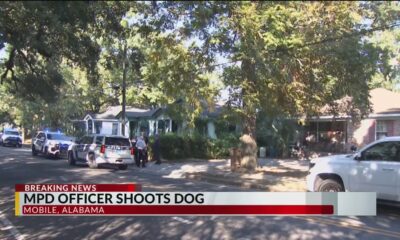 Mobile police officer shoots dog at house: official