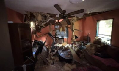 'It's just really frustrating': Tree still on 74-year-old woman's roof weeks after Hurricane Milton