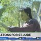 Lexington couple's Halloween decorations benefit St. Jude