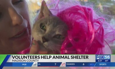 Madison County shelter needs volunteers after 16 found living in bad conditions