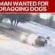 Video catches man dragging dogs behind car | FOX 5 News