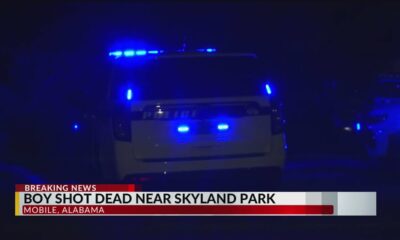 Boy killed in shooting near Skyland Park: Mobile police