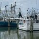 New Orleans shrimp festival passes genetic test confirming Gulf Coast origin | Louisiana